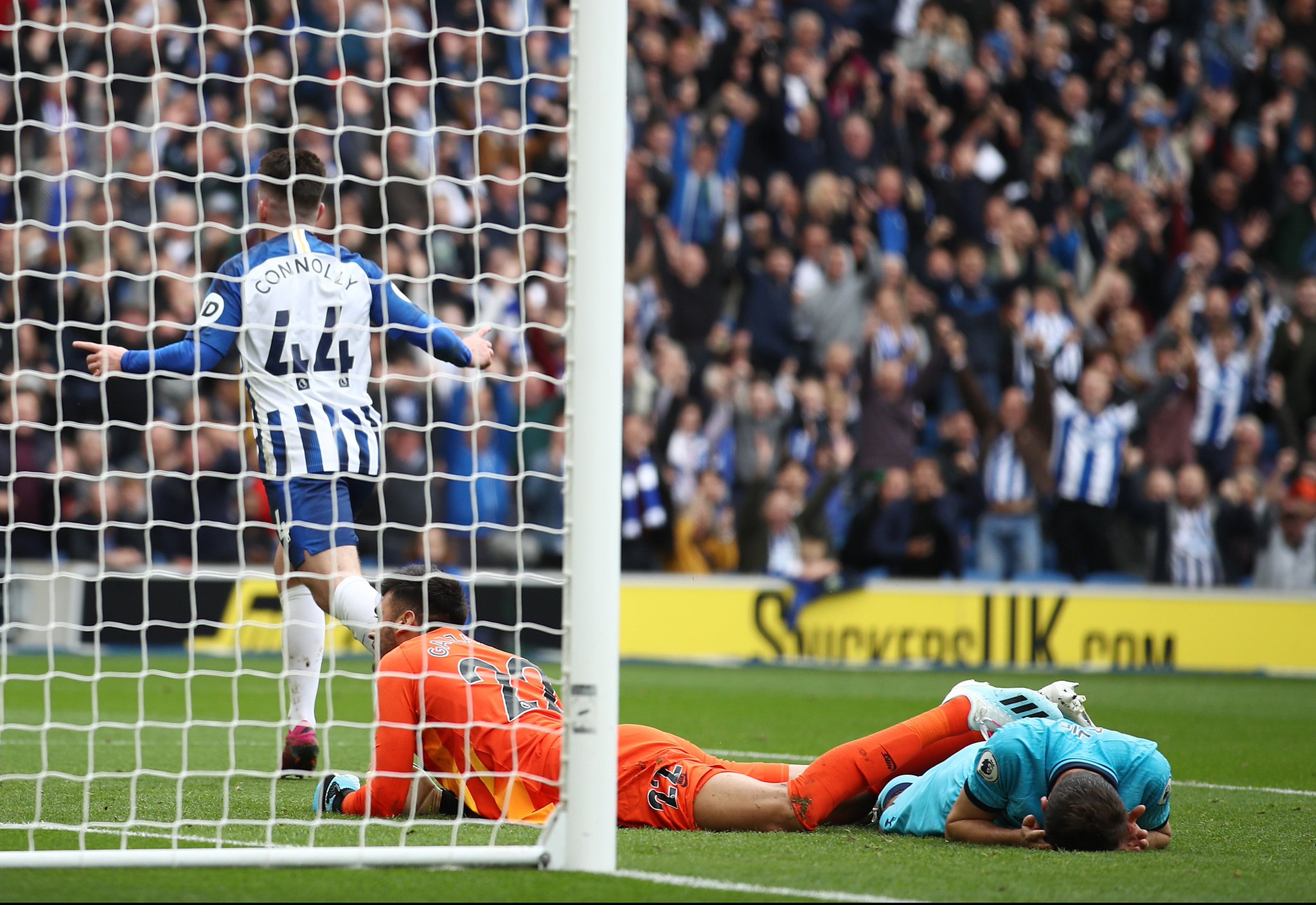 两项运动都 两项运动都