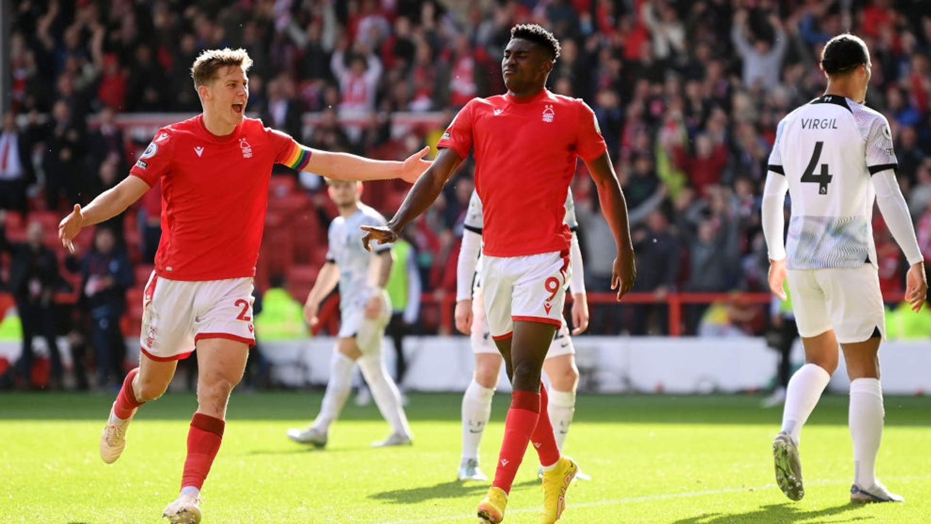 天津津门虎 天津津门虎